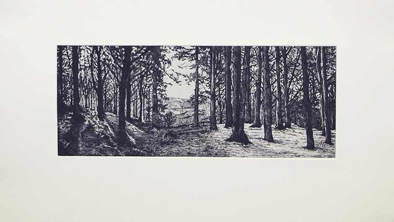 View-Finding Recall II