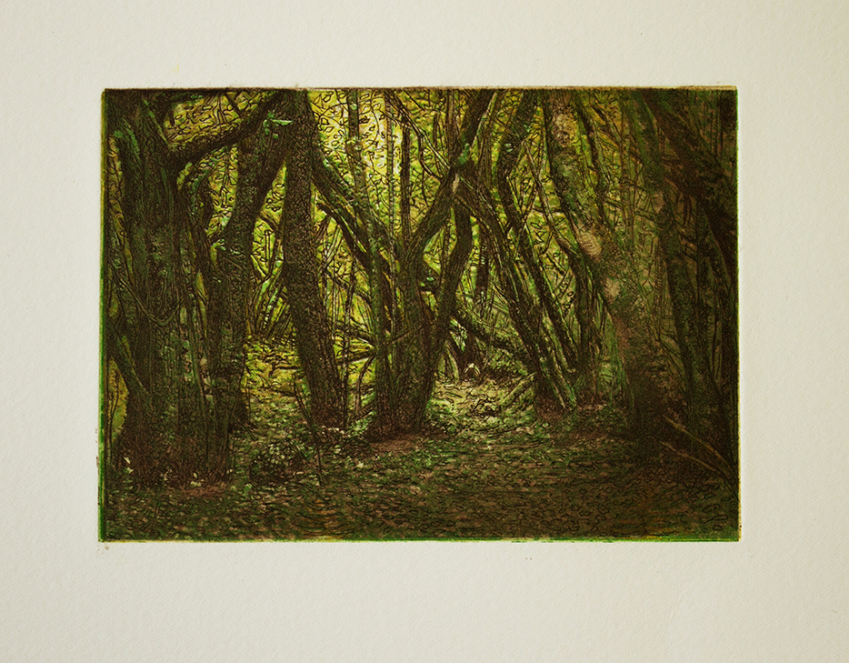 The Woods of Every Green